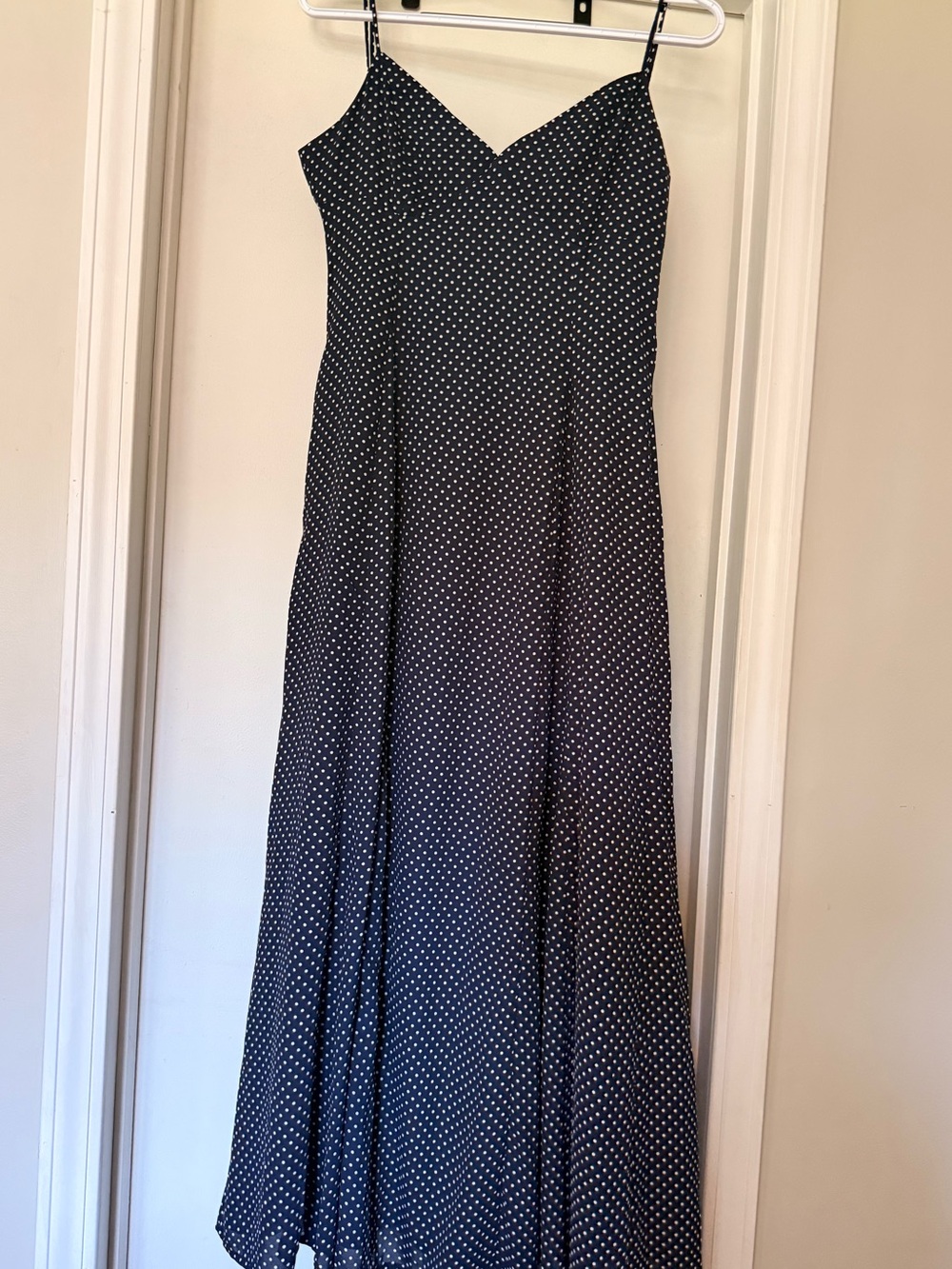 Navy and White Polka Dot Maxi Dress - Altard State “Allison” Dress